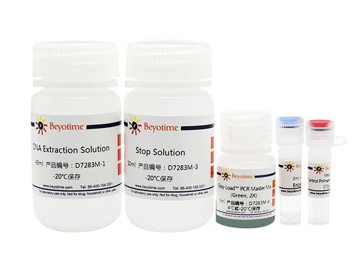 鼠尾基因型快速鉴定试剂盒